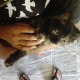 2-persian-kittens-for-sale-persian-cats-islamabad-7