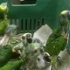 fertile-parrot-eggs-and-chicks-for-sale-amazon-parrots-islamabad