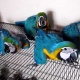 macaw-african-grey-cockatoo-rhea-conure-macaws-ali-pur