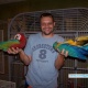 parrots-for-sale-with-macaws-and-eggs-african-grey-parrot-karachi-2