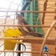 young-female-cockatiels-with-large-essegi-cage-other-lahore