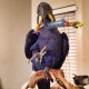 hyacinth-macaw-other-