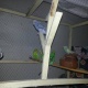 7-budgies-and-pied-along-with-cage-available-in-cheap-price-australian-budgies-rawalpindi-2