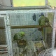 raw-parrot-alexandrine-parrot-rawalpindi-2