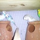 australian-budgies-australian-budgies-lahore-4